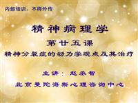 25课—精神病理学：